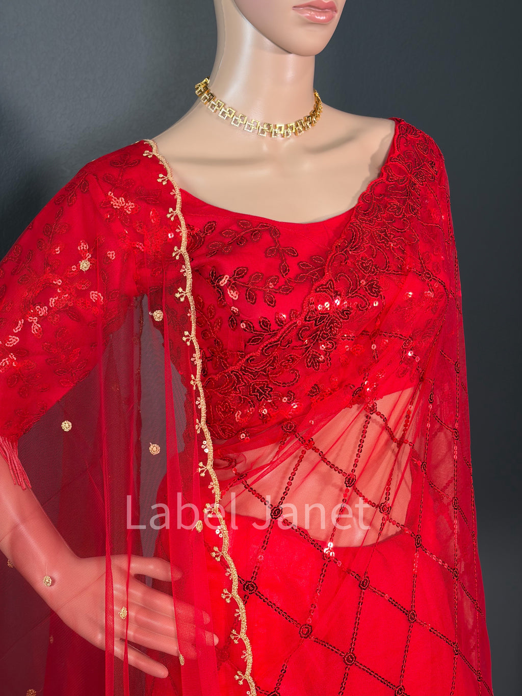 Blood Red Glam Red Saree - Party wear netted saree with blouse