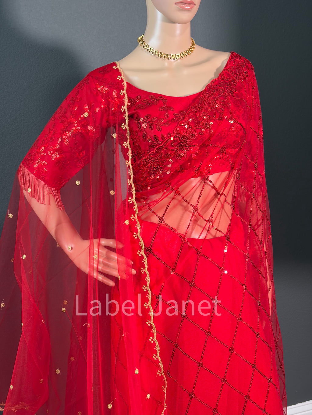 Blood Red Glam Red Saree - Party wear netted saree with blouse