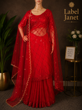 Blood Red Glam Red Saree - Party wear netted saree with blouse