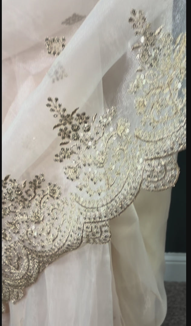 Maharani Mist - Party wear organza netted saree with blouse